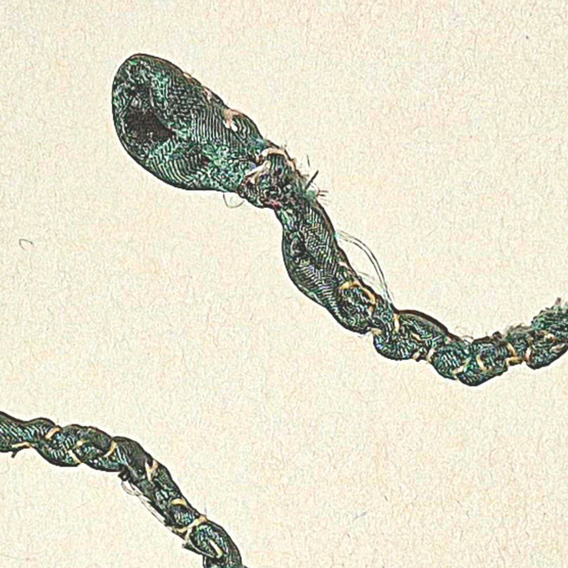 명주 소뿔 유리구슬 목걸이 상품이미지3