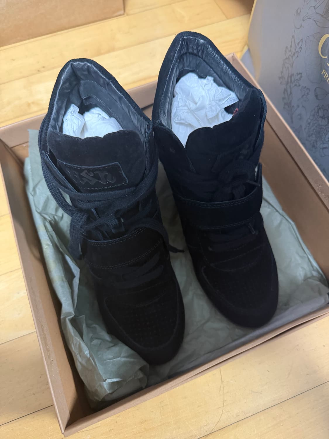 Ash 아쉬 보위 하이탑 240 상품이미지2