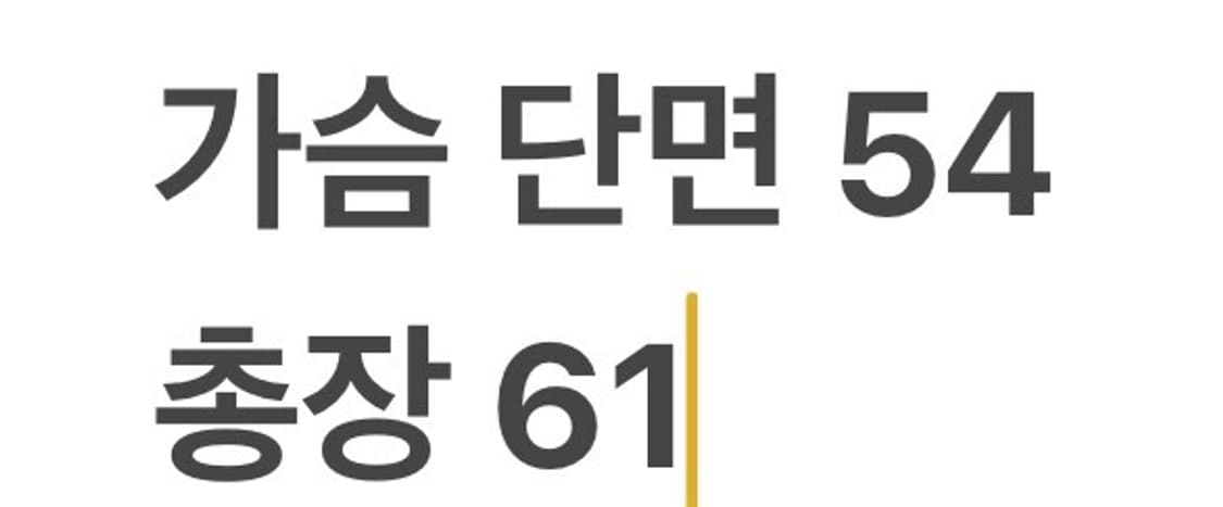 [정품/L] 노스페이스 고든 라이온스 플리스 베스트 b15 상품이미지7