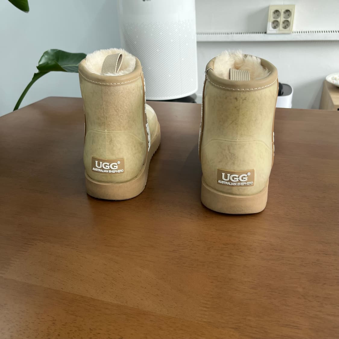 어그 클리어 부츠 39 상품이미지5