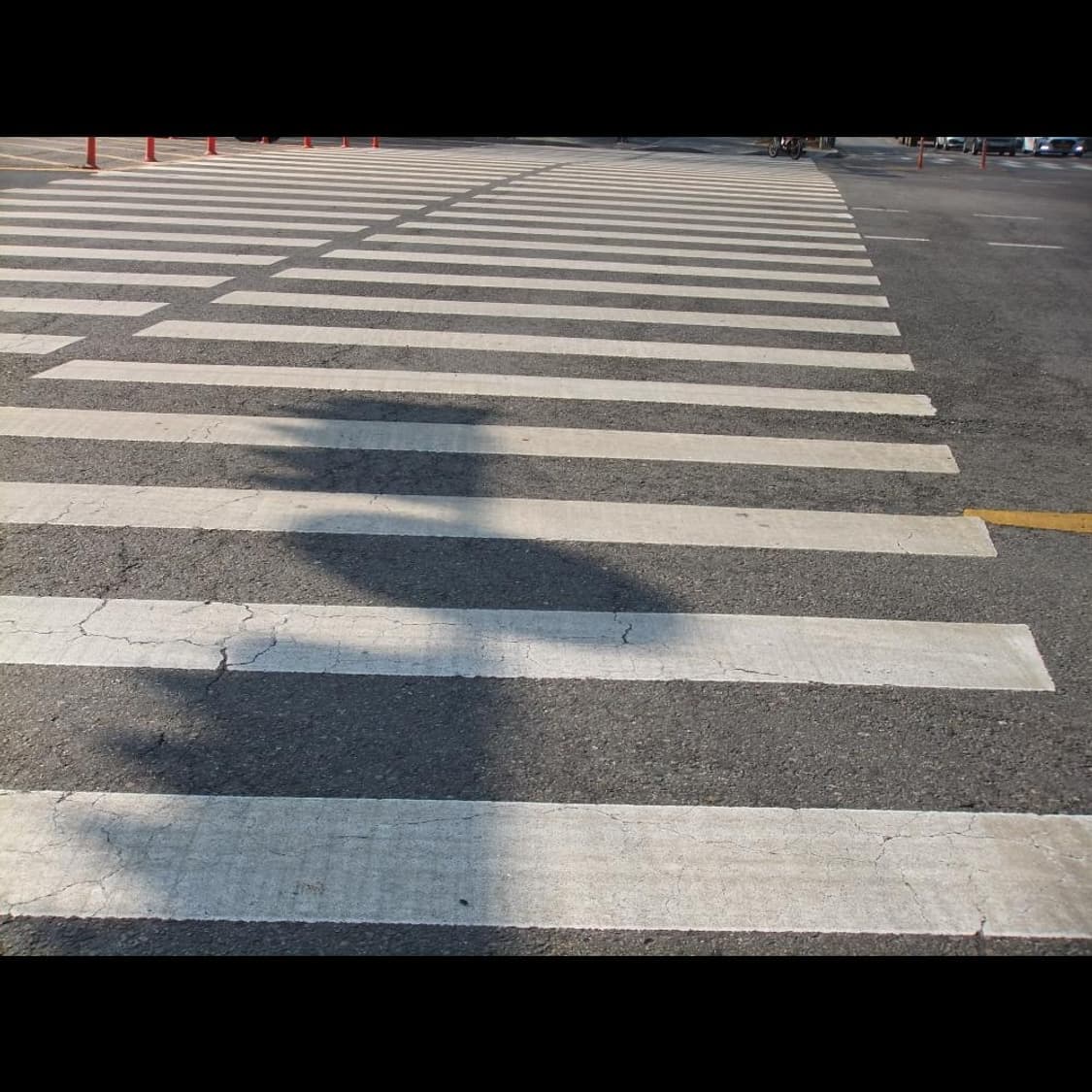 작례⭕️ 후지필름 파인픽스 Z800 EXR 체리 핑크 🌸 상품이미지6