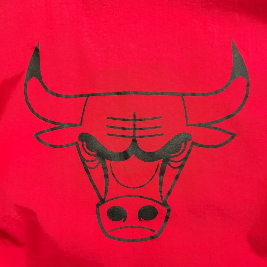 NBA 시카고 볼스 팀로고 아노락 후드티 레드 XL 상품이미지8