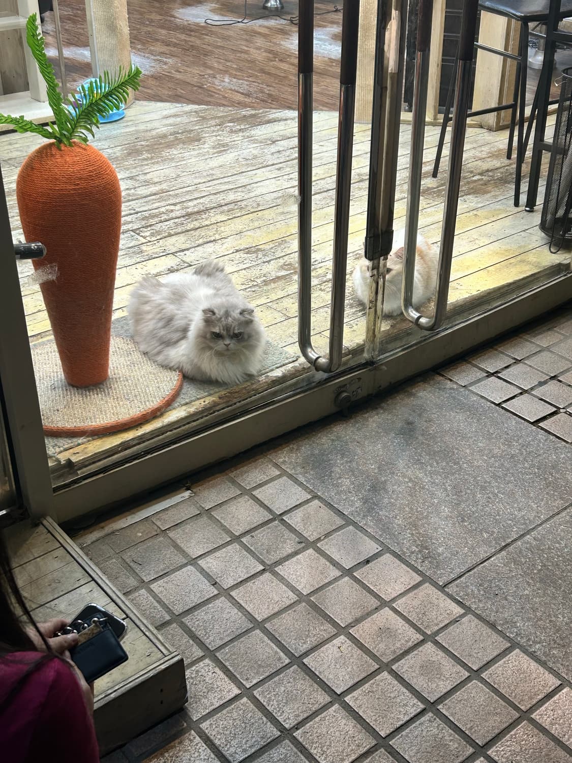 결제용 상품이미지1