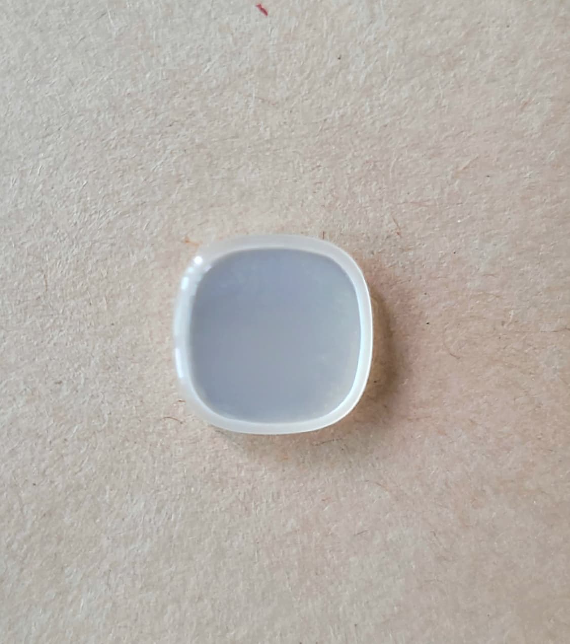 [Archive] 파리 전시회 샹크 자개 단추 (13mm, 24pcs) 상품이미지3