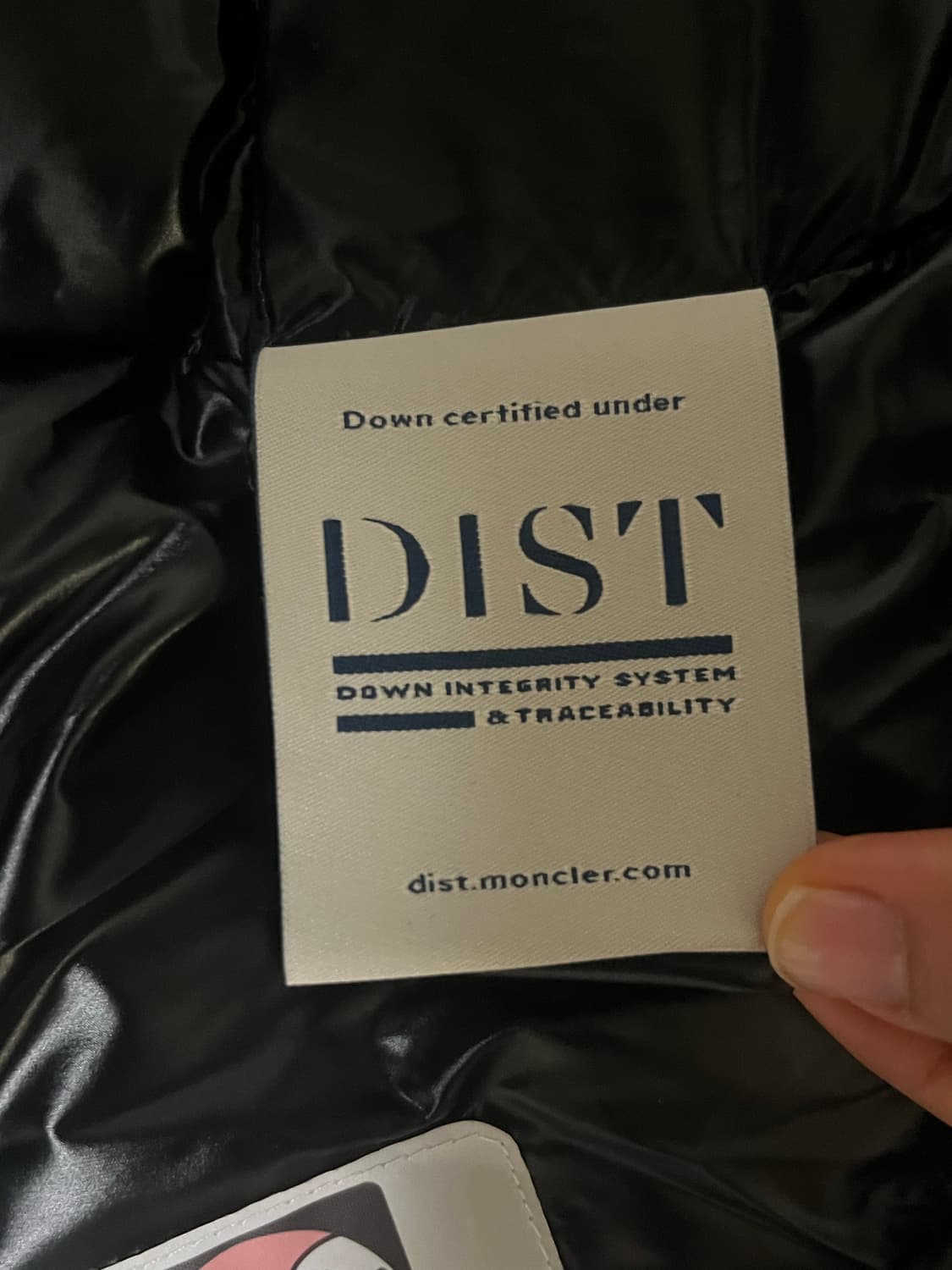 몽클레어 패딩 조끼 상품이미지5
