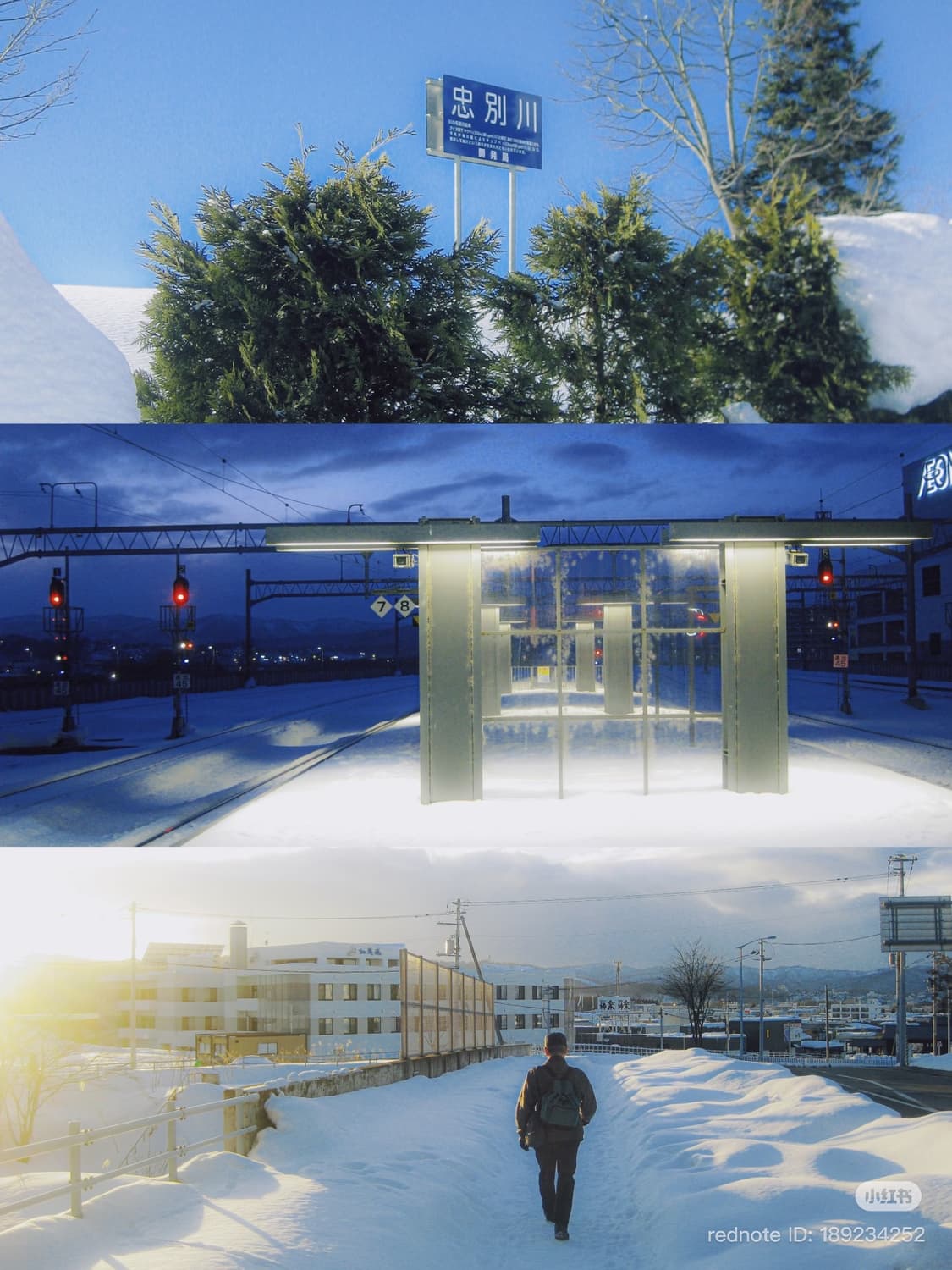 리사디카🩵) 캐논 익서스 80 IXUS 80 스카이블루 상품이미지10