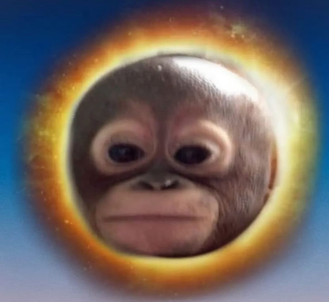 리바이스2 상품이미지1