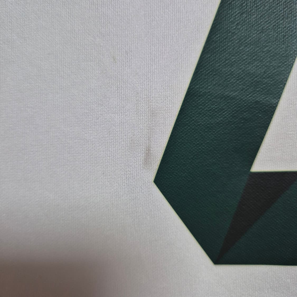 14 팔메이라스 에두아르두 M (100주년/지급용) 상품이미지9