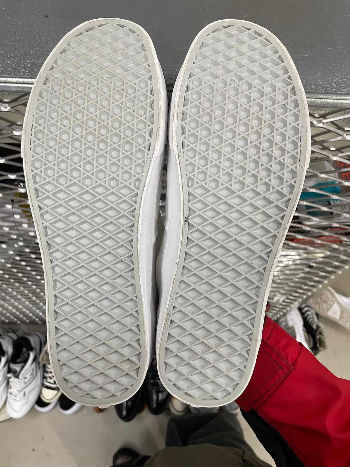 반스 클래식 어센틱 화이트 290 (gr-4128) 상품이미지6