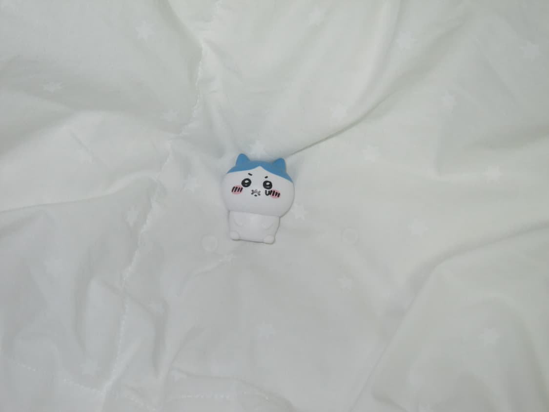 (인플루언서픽!) ixus 200is 상품이미지8