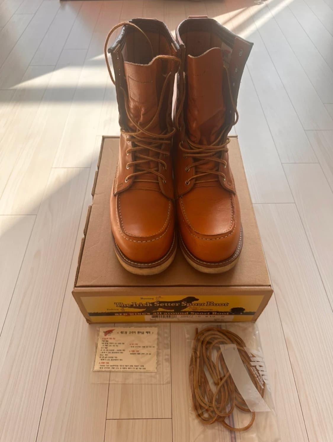 레드윙 9877 아이리쉬세터 275mm  상품이미지1