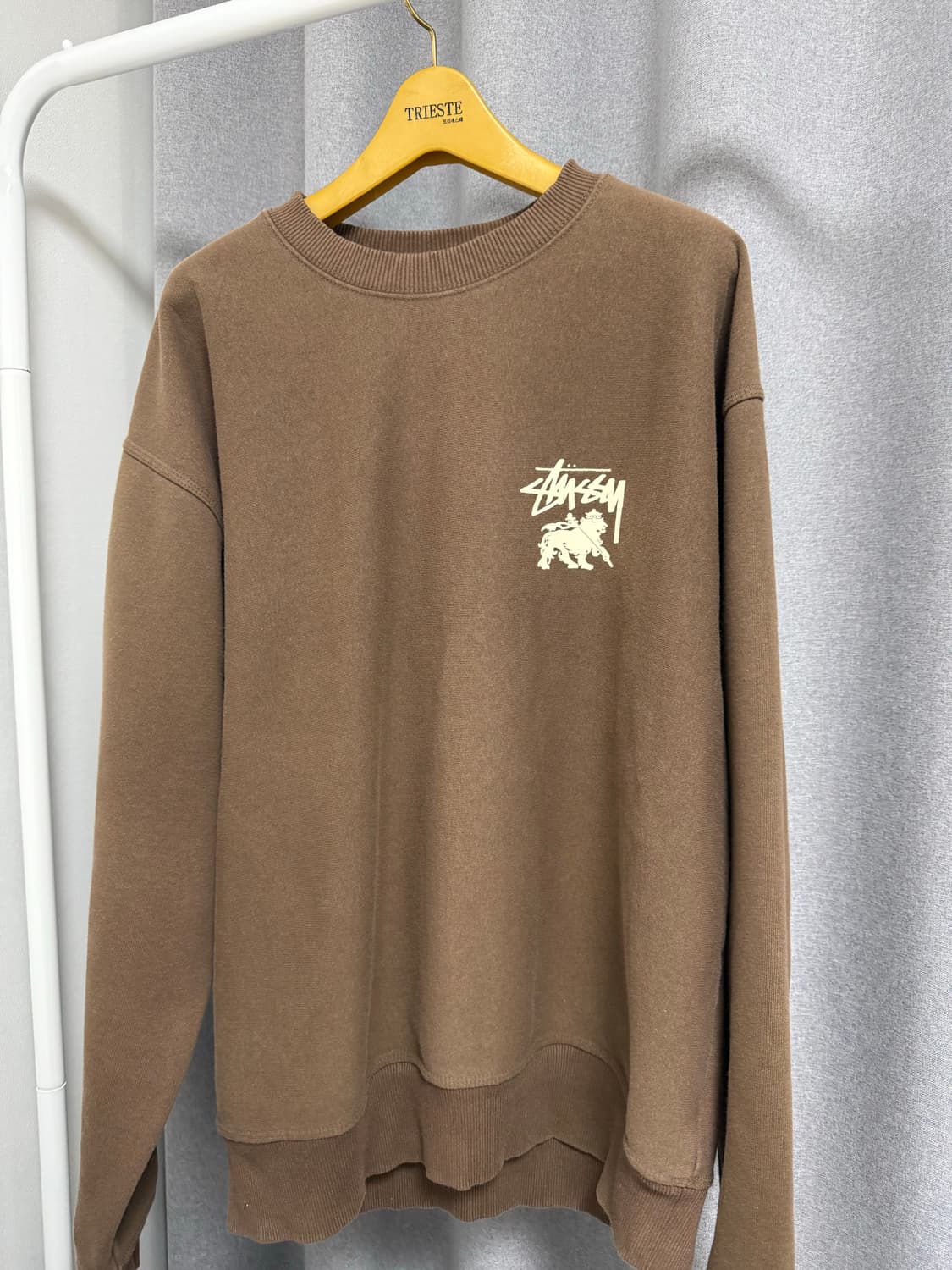 스투시 라이언 닷 크루 커피 상품이미지1