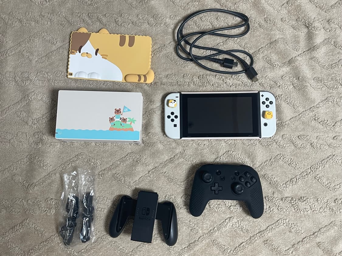 닌텐도 스위치 동물의 숲 에디션 콘솔 상품이미지1