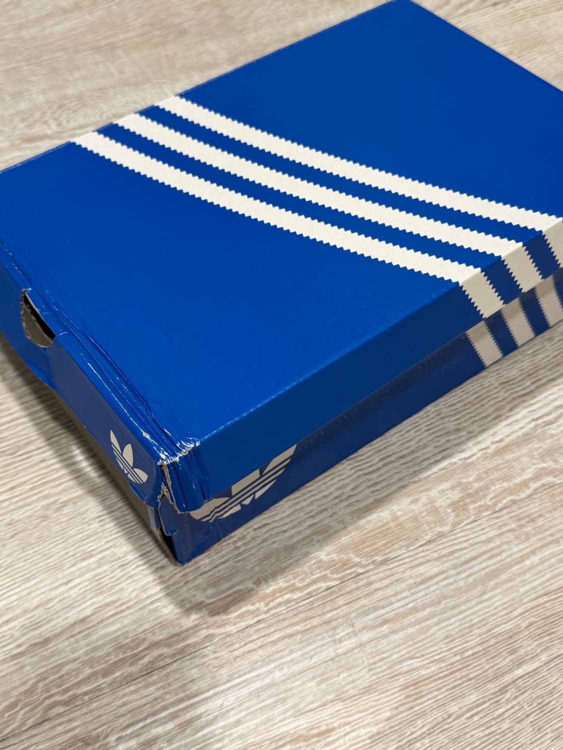 miaou ADIDAS PREDATOR ELITE MEI 아디다스 미아우 상품이미지6