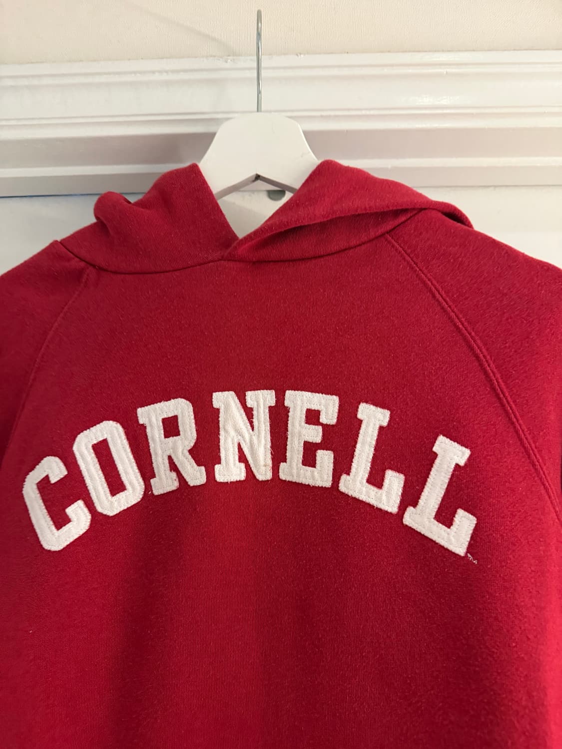 잔스포츠 Cornell 빈티지 레드 후드티 상품이미지2