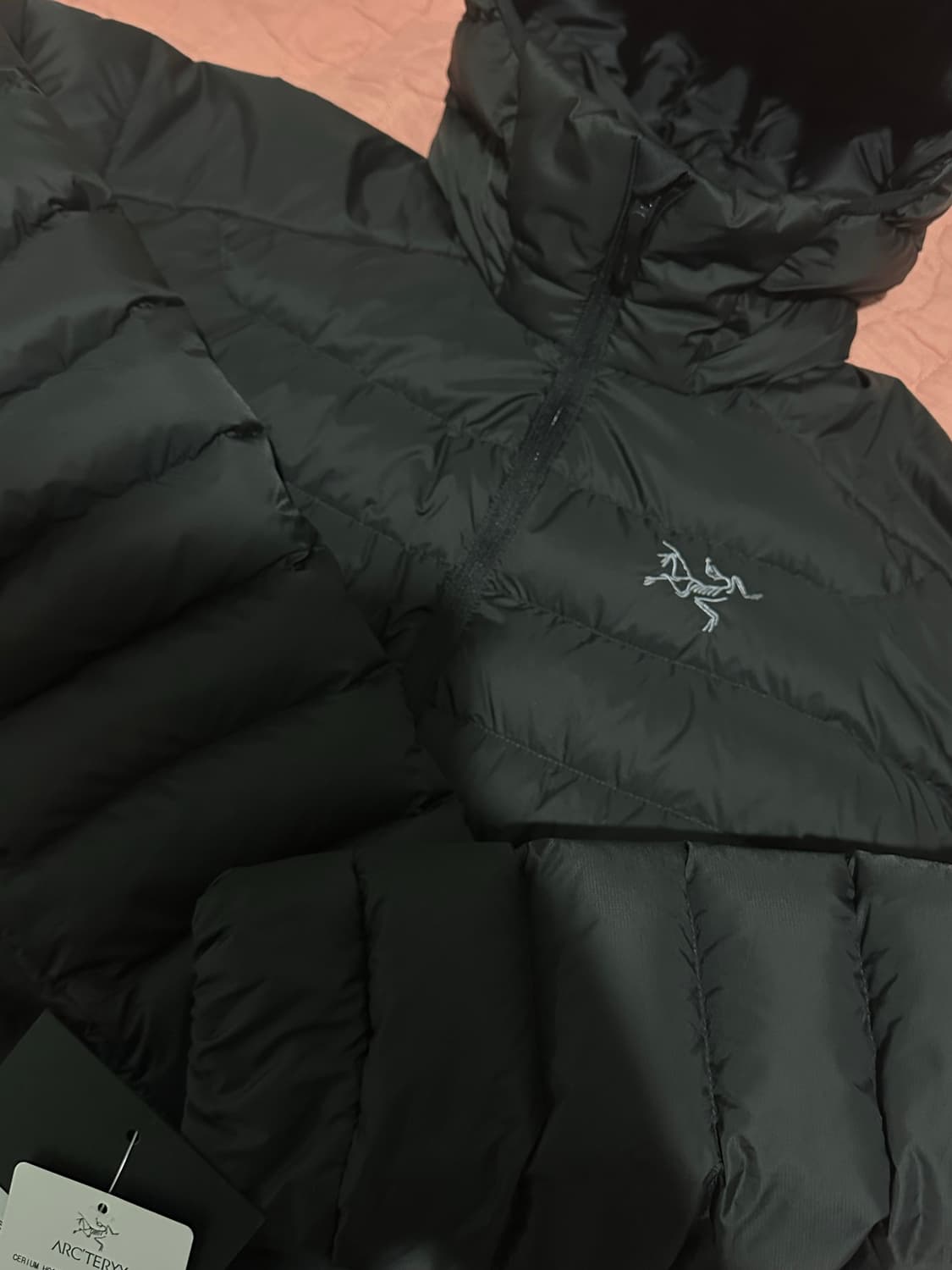 아크테릭스 세륨 후디 M 판매합니다 상품이미지3