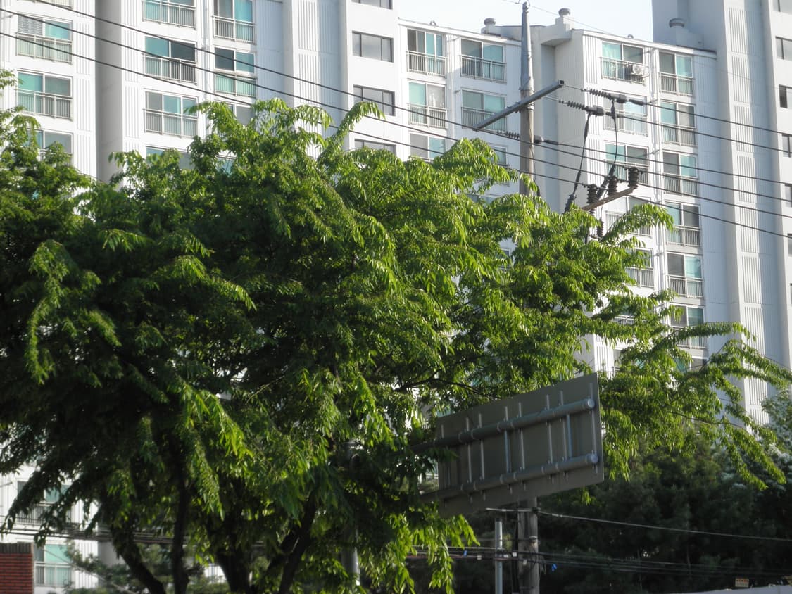 (상태굿)올림푸스 뮤 5010(작례O) 상품이미지9