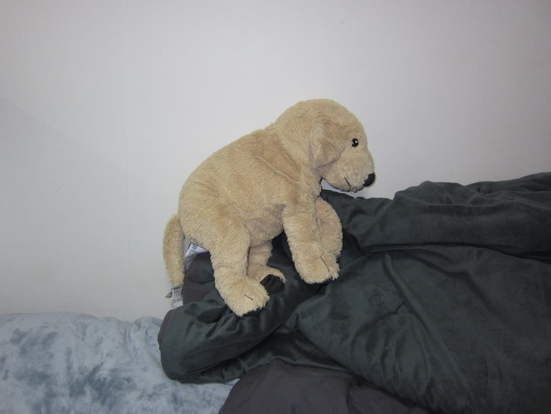 [새상품급]캐논 익시 IXY 30S (익서스 300HS) 디카 실버 상품이미지8