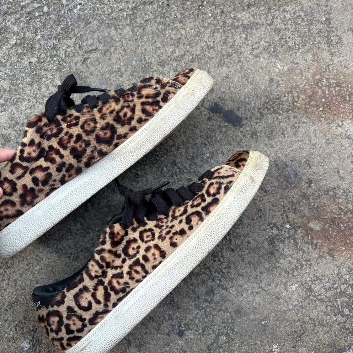 Adidas 아디다스 레오파드 호피 송치 (260) 상품이미지4