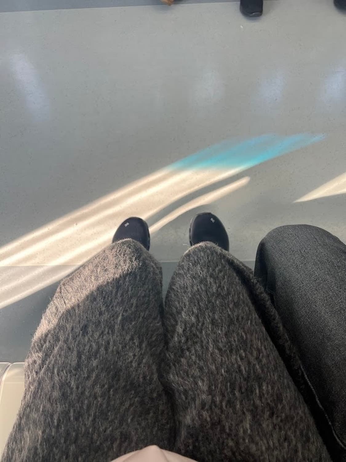 [2/Brown] 머듈 Mudule 플레인 스웻 팬츠 상품이미지5