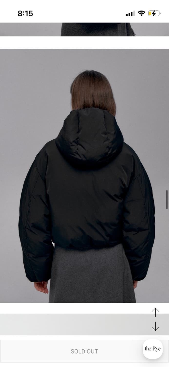 *해외출국으로 판매중단예정* TheRye 더라이 구스다운 패딩 블랙 상품이미지7