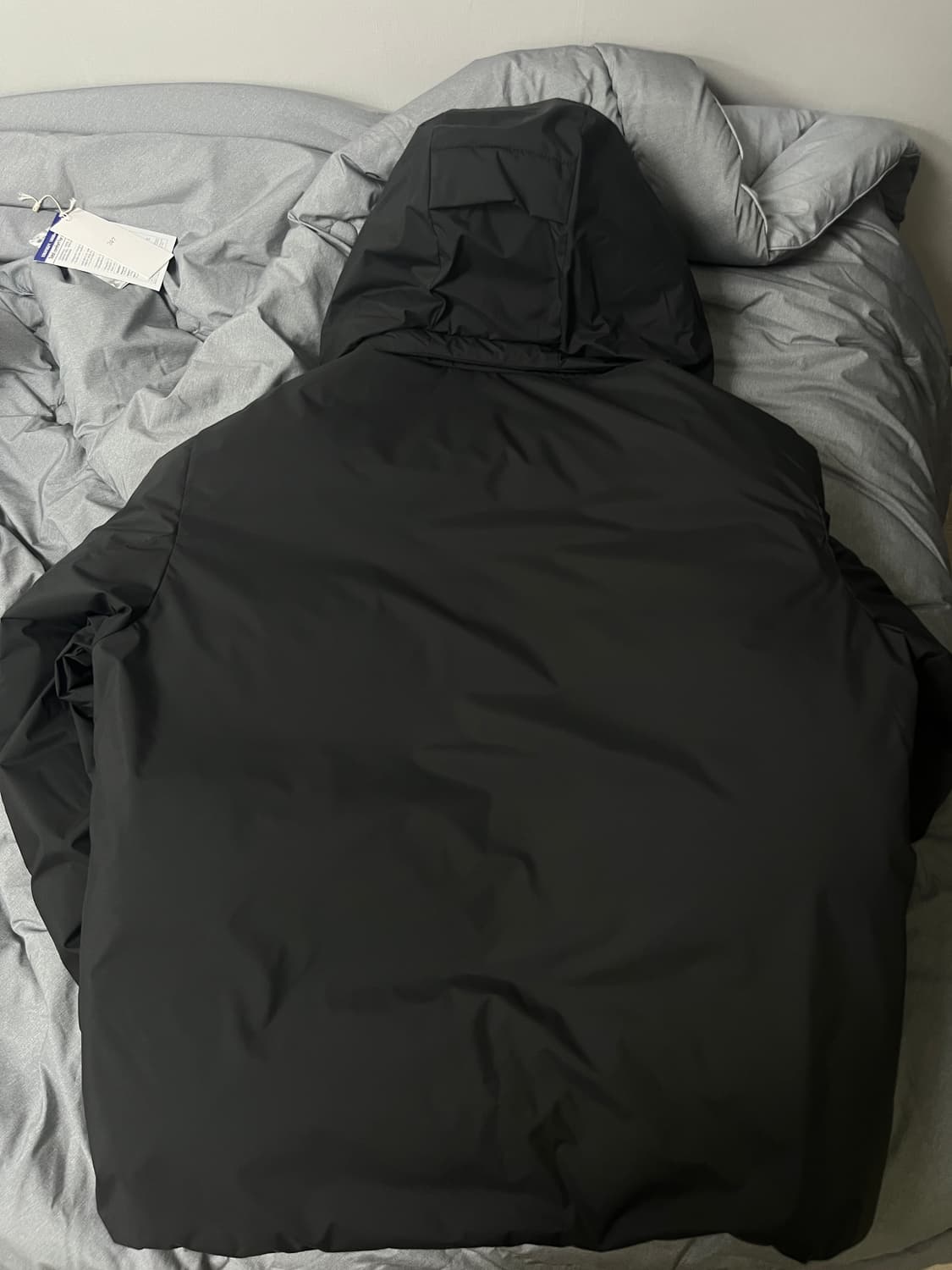 247 도레이 델피 구스다운 / 차콜 / L 상품이미지3