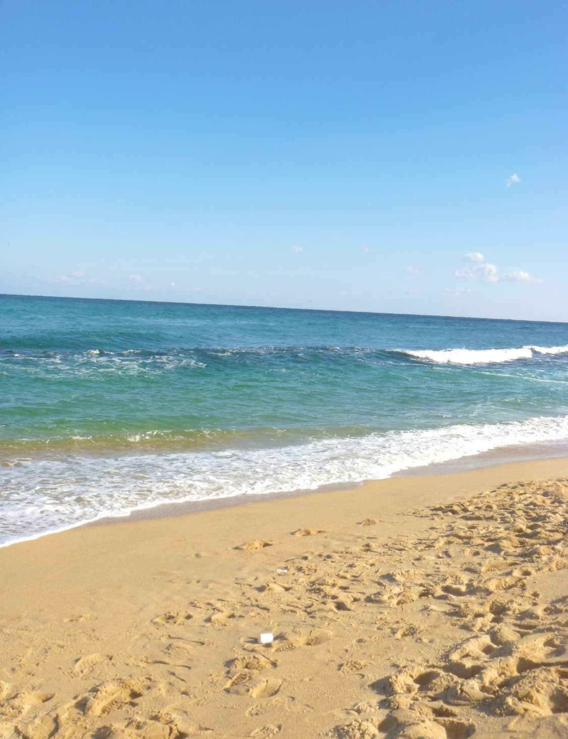 파나소닉 루믹스 DMC-FP1 디카 디지털카메라 상품이미지7