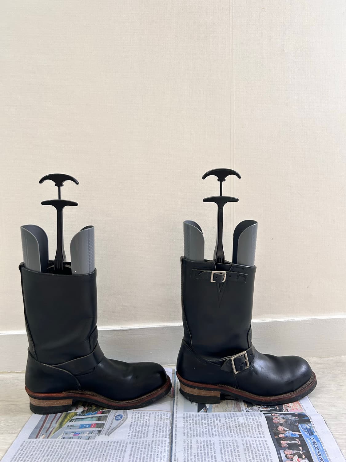 레드윙 2268 팝니다 상품이미지4