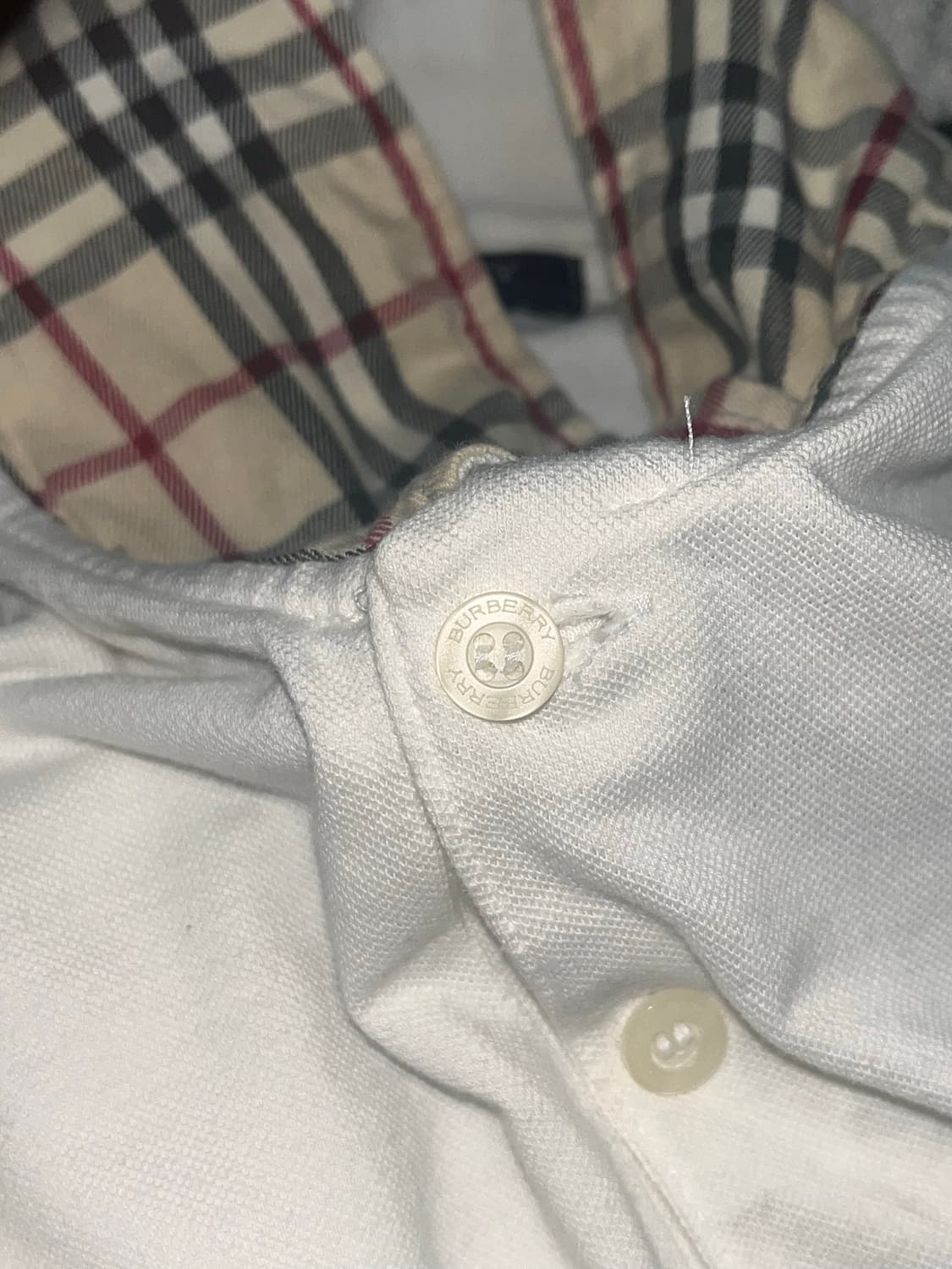 BURBERRY 버버리 코튼 폴로셔츠 상품이미지5