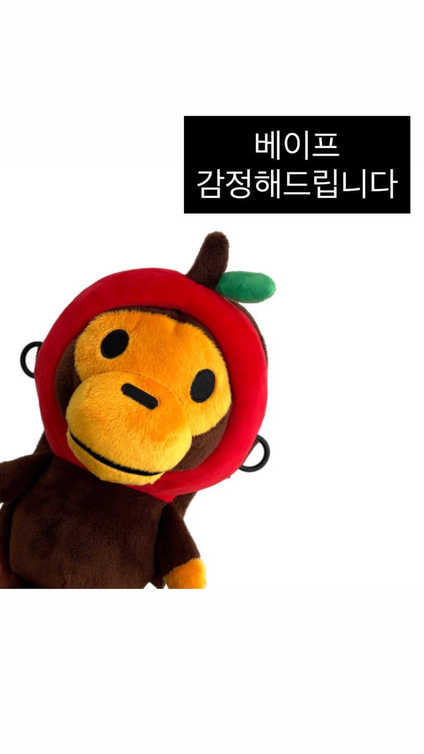 베이프 정가품 감정해드립니다 상품이미지1