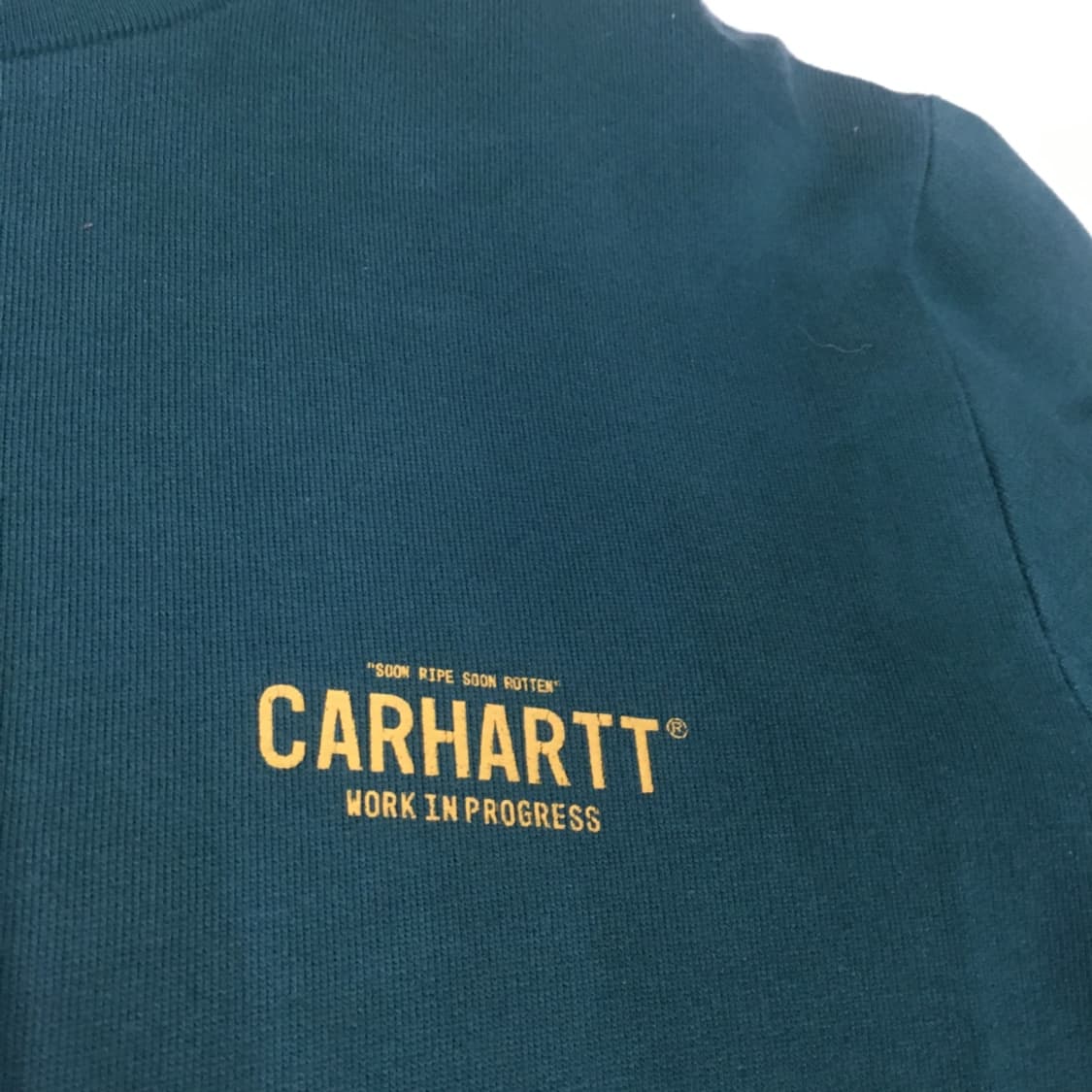 칼하트 백로고 맨투맨 DD23 상품이미지5