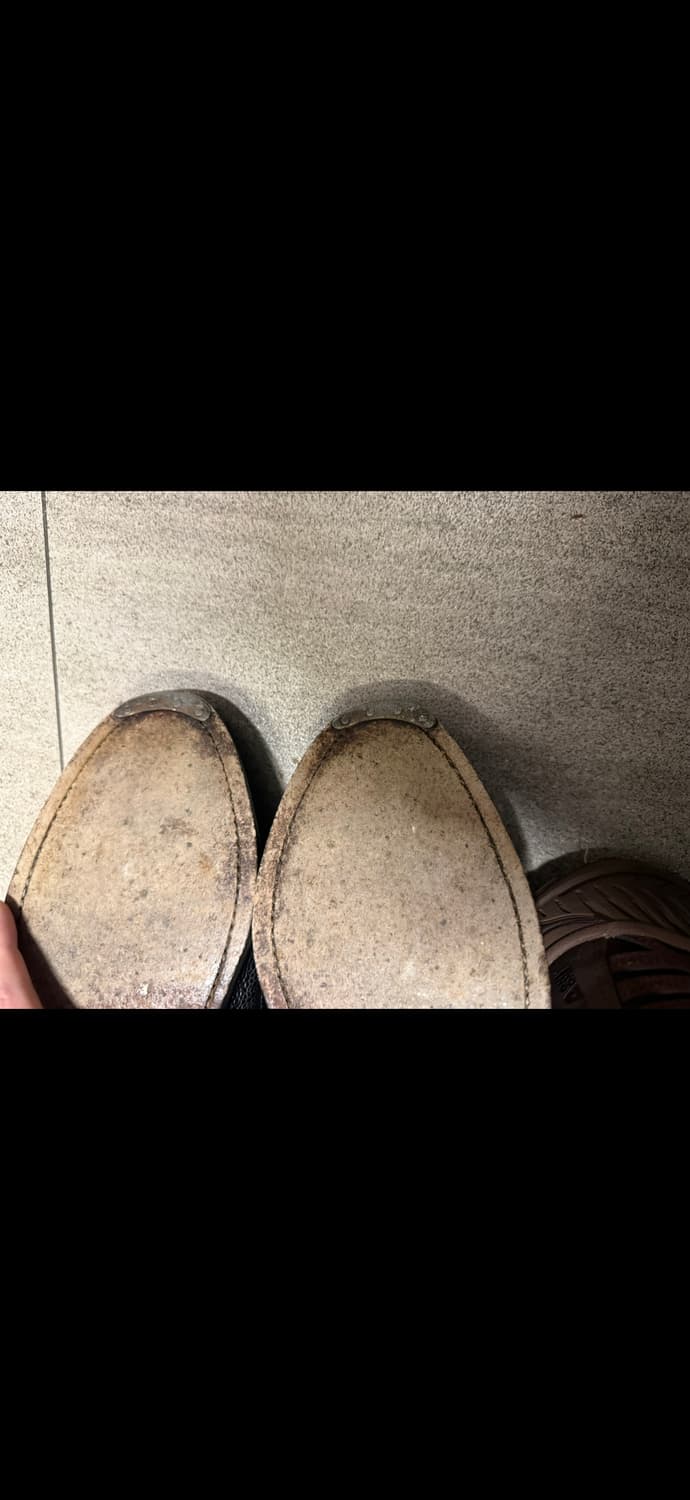 톰브라운 윙팁 8사이즈 상품이미지4