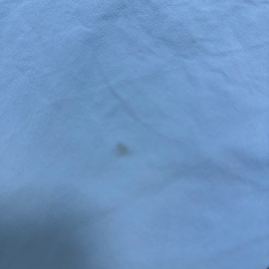 ✨ (바배) 챔피온 재팬 나일론 숏 팬츠 상품이미지5