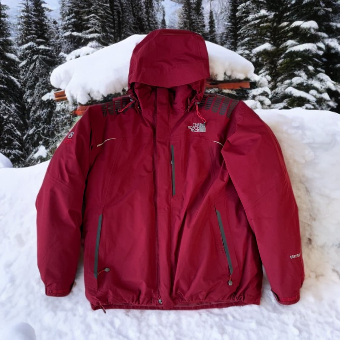 노스페이스 써밋 고어텍스 패딩 (L) 상품이미지1