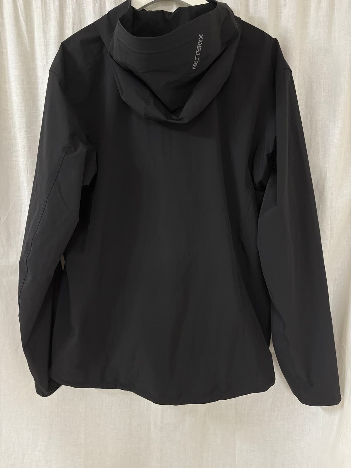 [L] 아크테릭스 감마 라이트웨이트 후디 맨 상품이미지2