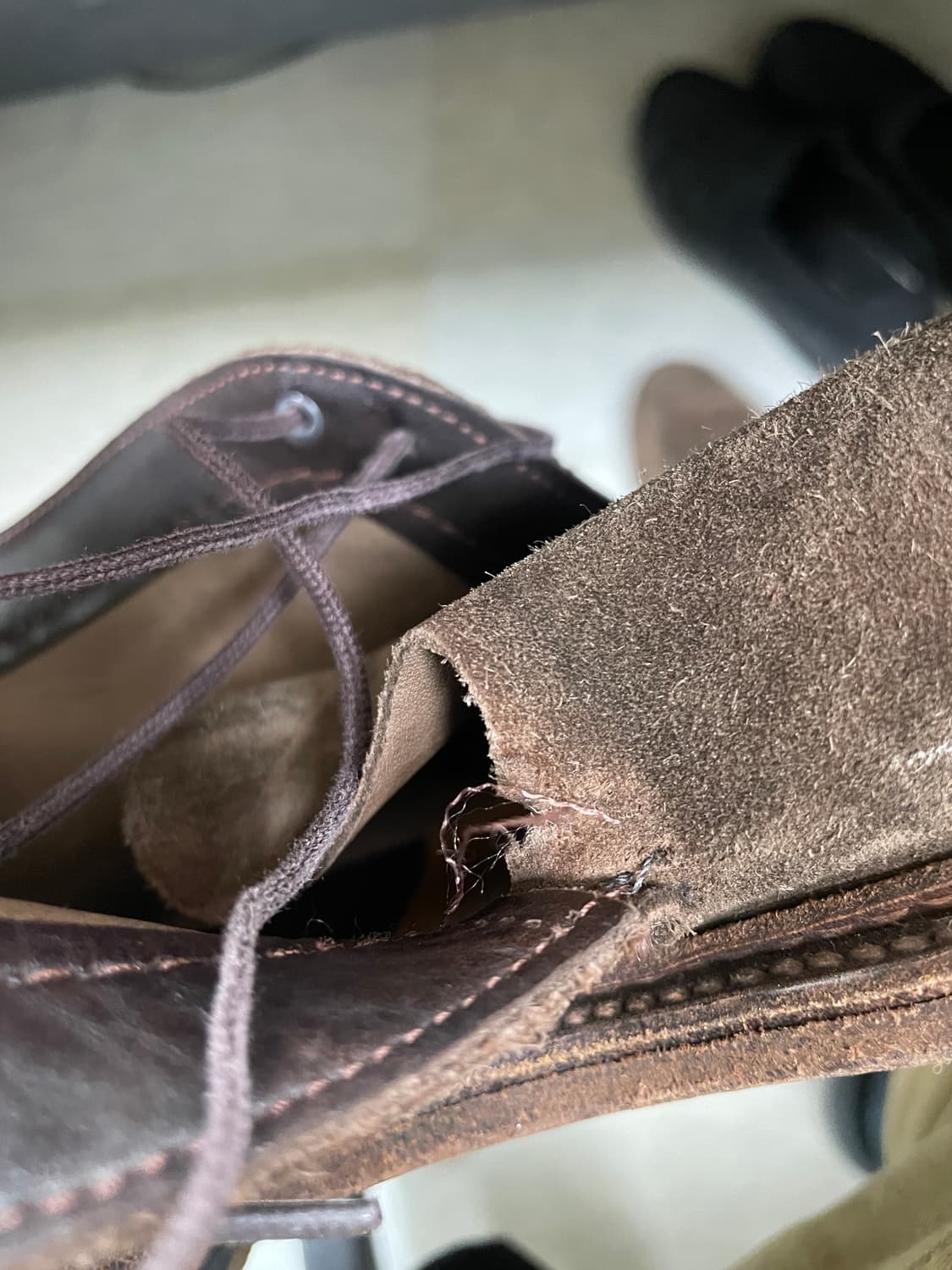 알든 1492 10e 상품이미지10