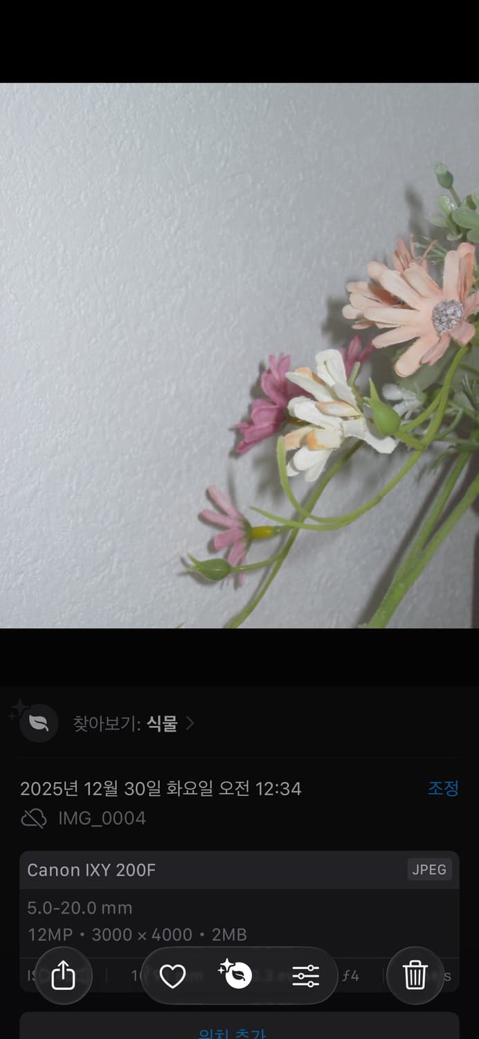 캐논 ixy 200f (ixus 105) 디지털 카메라 (익서스) 상품이미지8