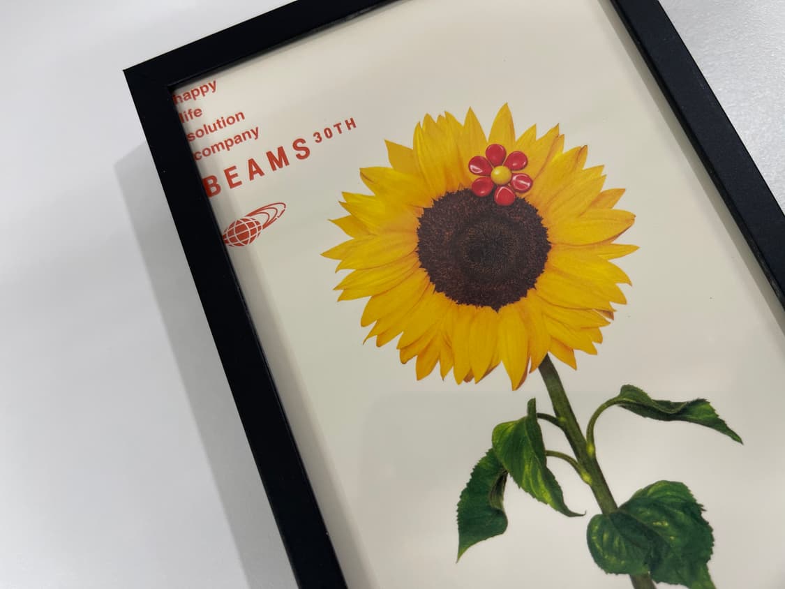 빔즈 30주년 기념 한정 아트 포토 Beams AD2006 상품이미지2