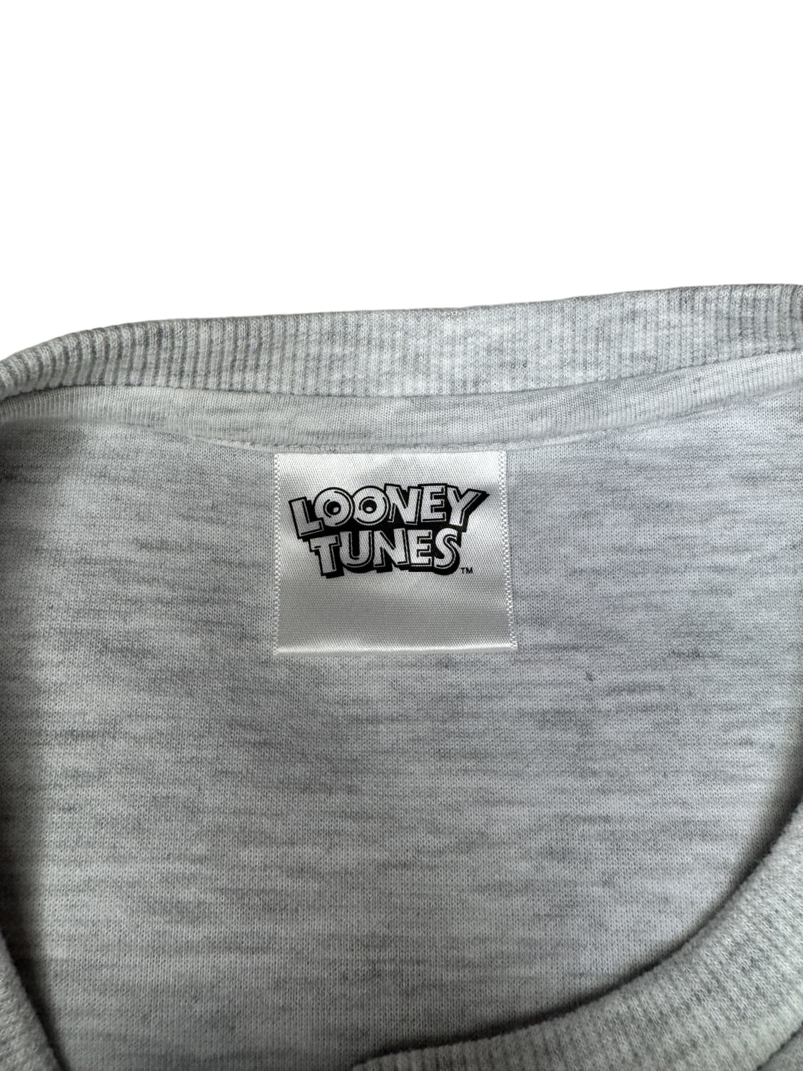 루니툰 트위티 Tweety 자수 디테일 그래픽 맨투맨 L 상품이미지5