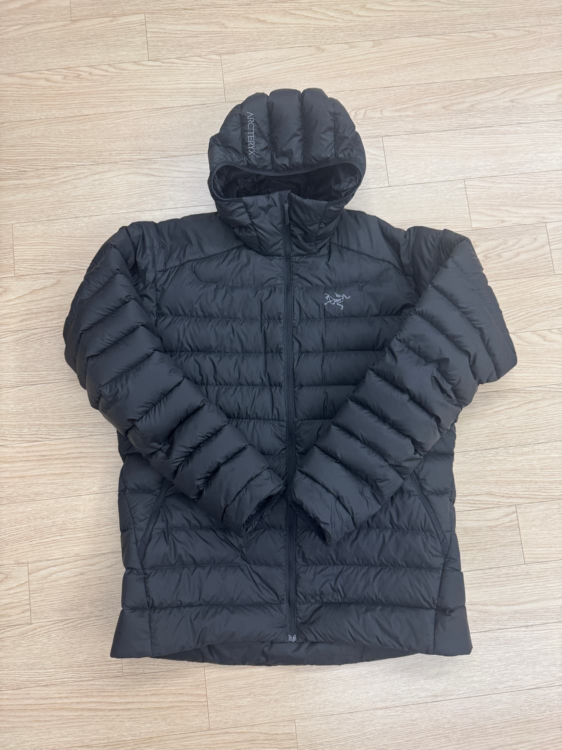 아크테릭스 세륨 후디 블랙 L 상품이미지1