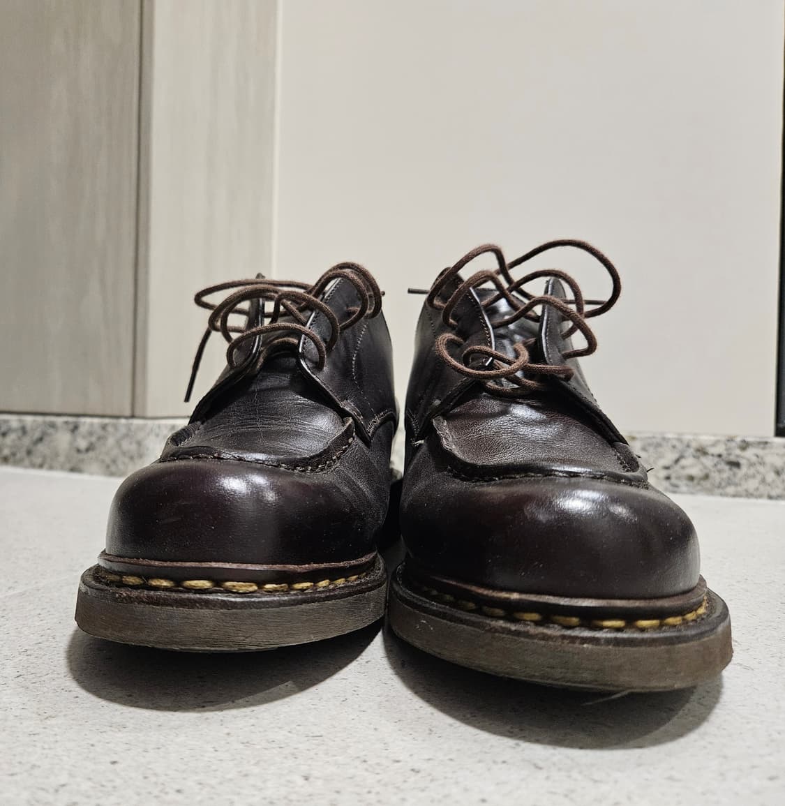 파라부트 샴보드 판매합니다 상품이미지4