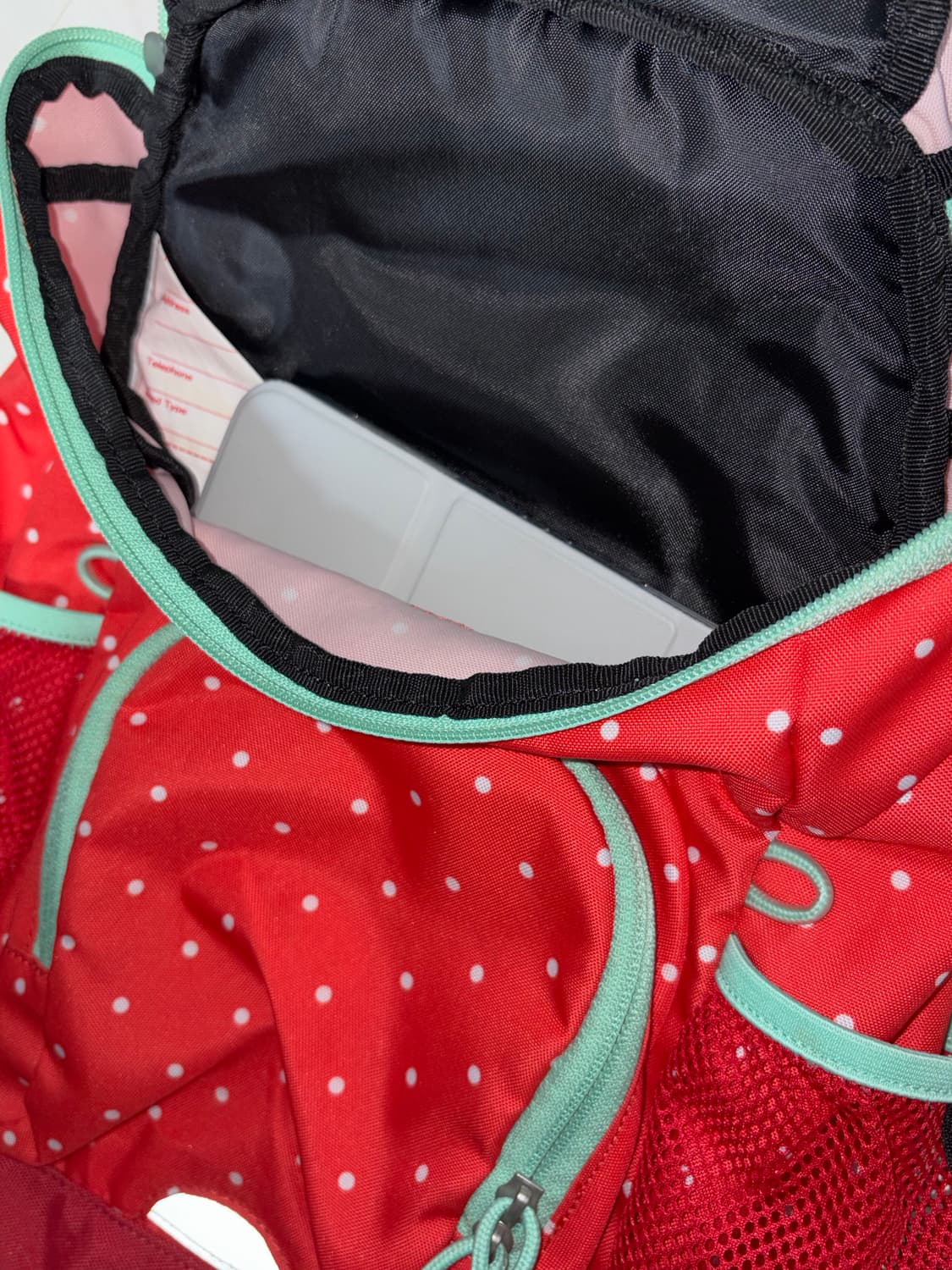 콜맨 빨강 민트 도트 미니 백팩 상품이미지8