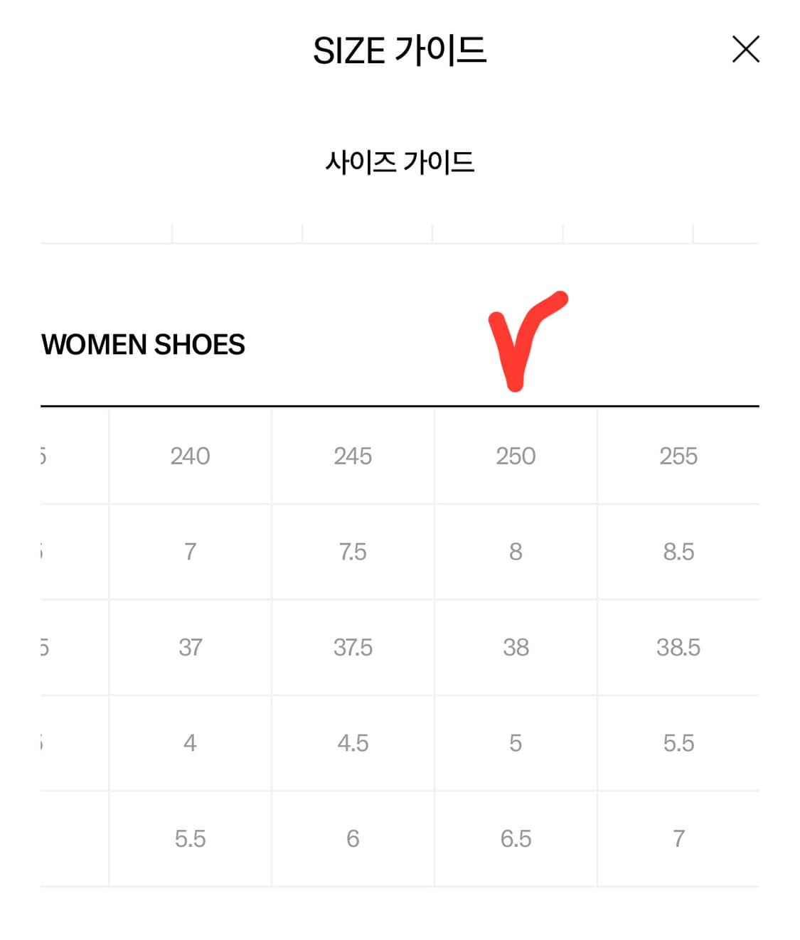 닥터마틴 애니스톤 니하이 브라운   BRW / 41871200 상품이미지2