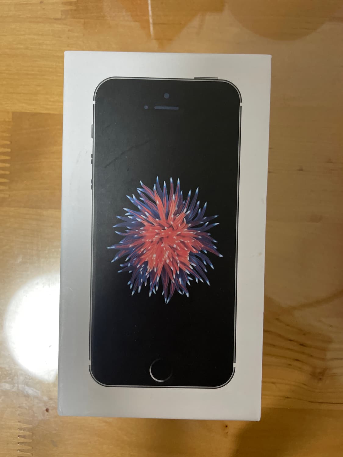 아이폰 SE 스페이스 그레이 상품이미지1