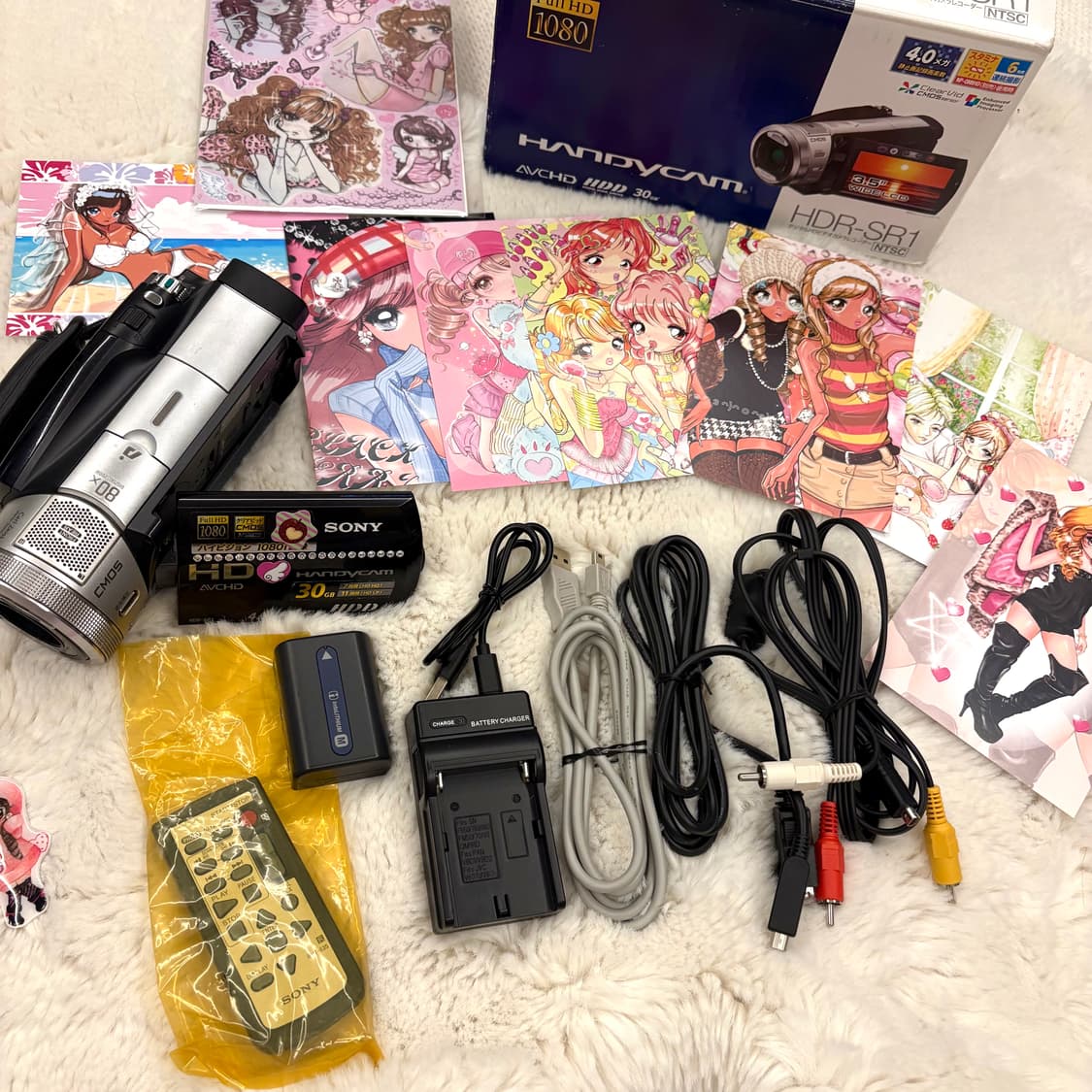 Sony HDR-SR1 / 소니 캠코더 / 빈티지 캠코더  상품이미지6