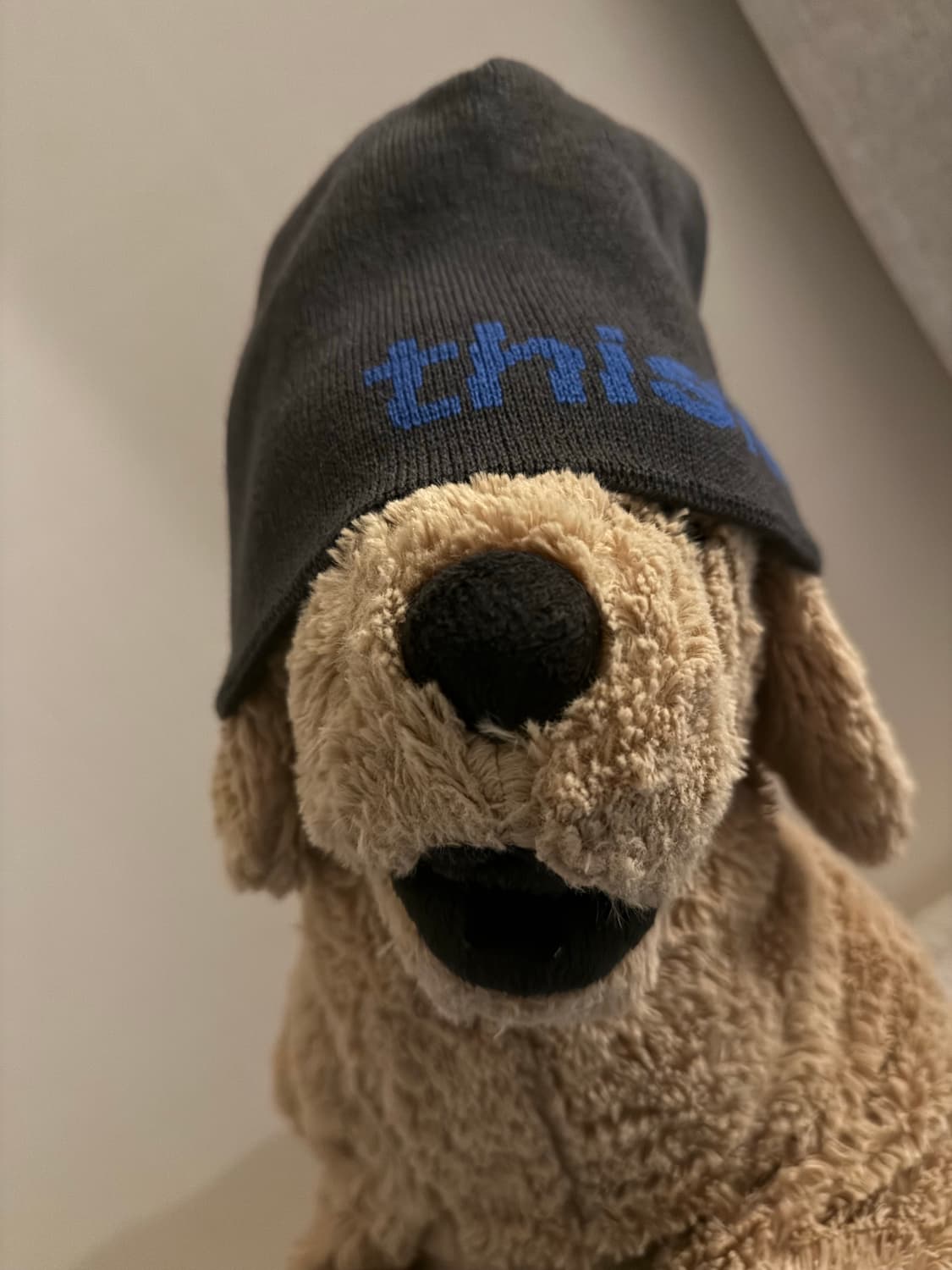 Thisisneverthat 비니 상품이미지1