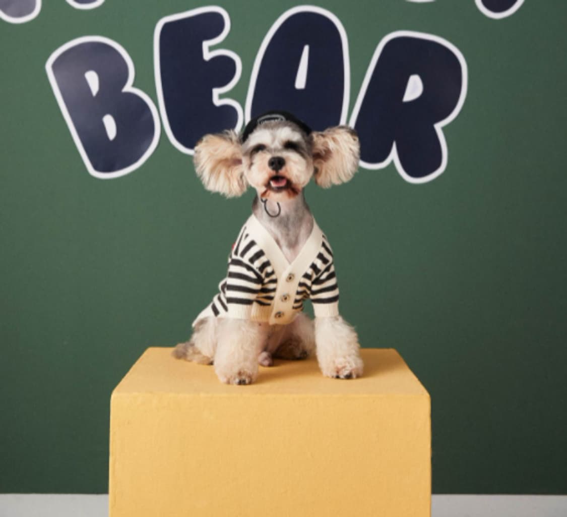 블랙스트라이프 강아지 니트 가디건 상품이미지3