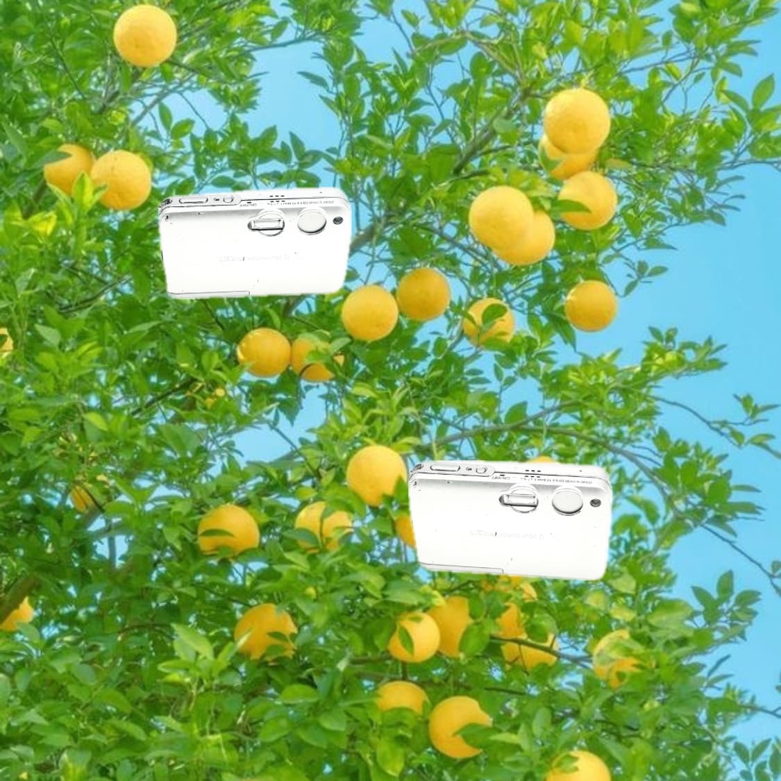 필름색감&입문!) Nikon CoolPix S1 디카 카메라 상품이미지1