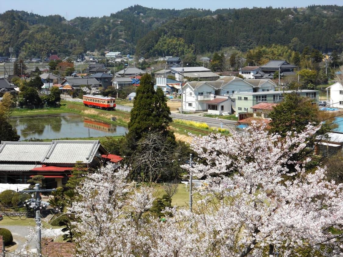 니콘 쿨픽스 Nikon Coolpix S3000 블루 상품이미지3