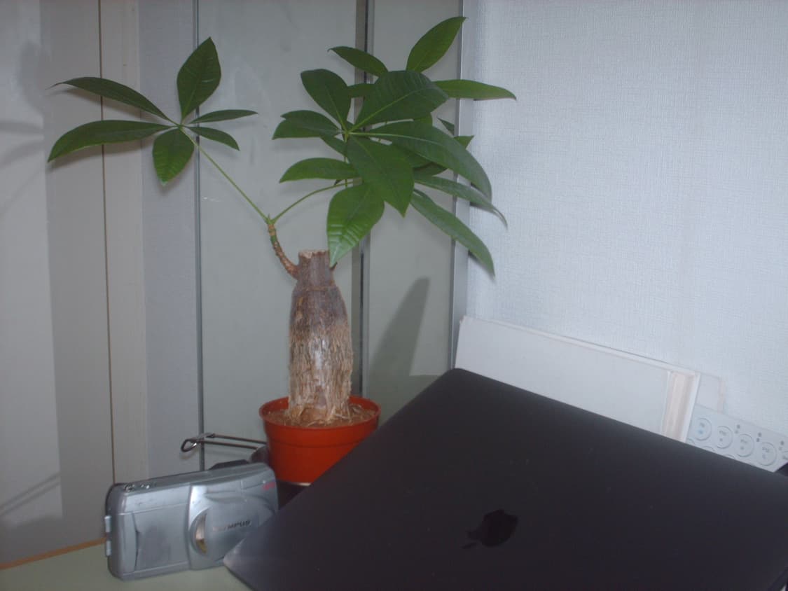 HP 포토스마트 E317 빈티지 디지털카메라 상품이미지10